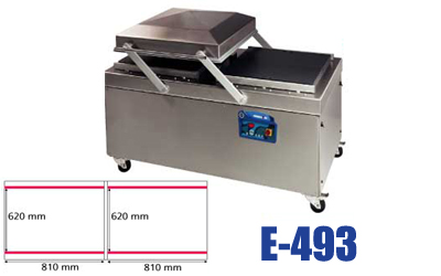 E-493